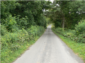 Ballyfarnon Golden Mile