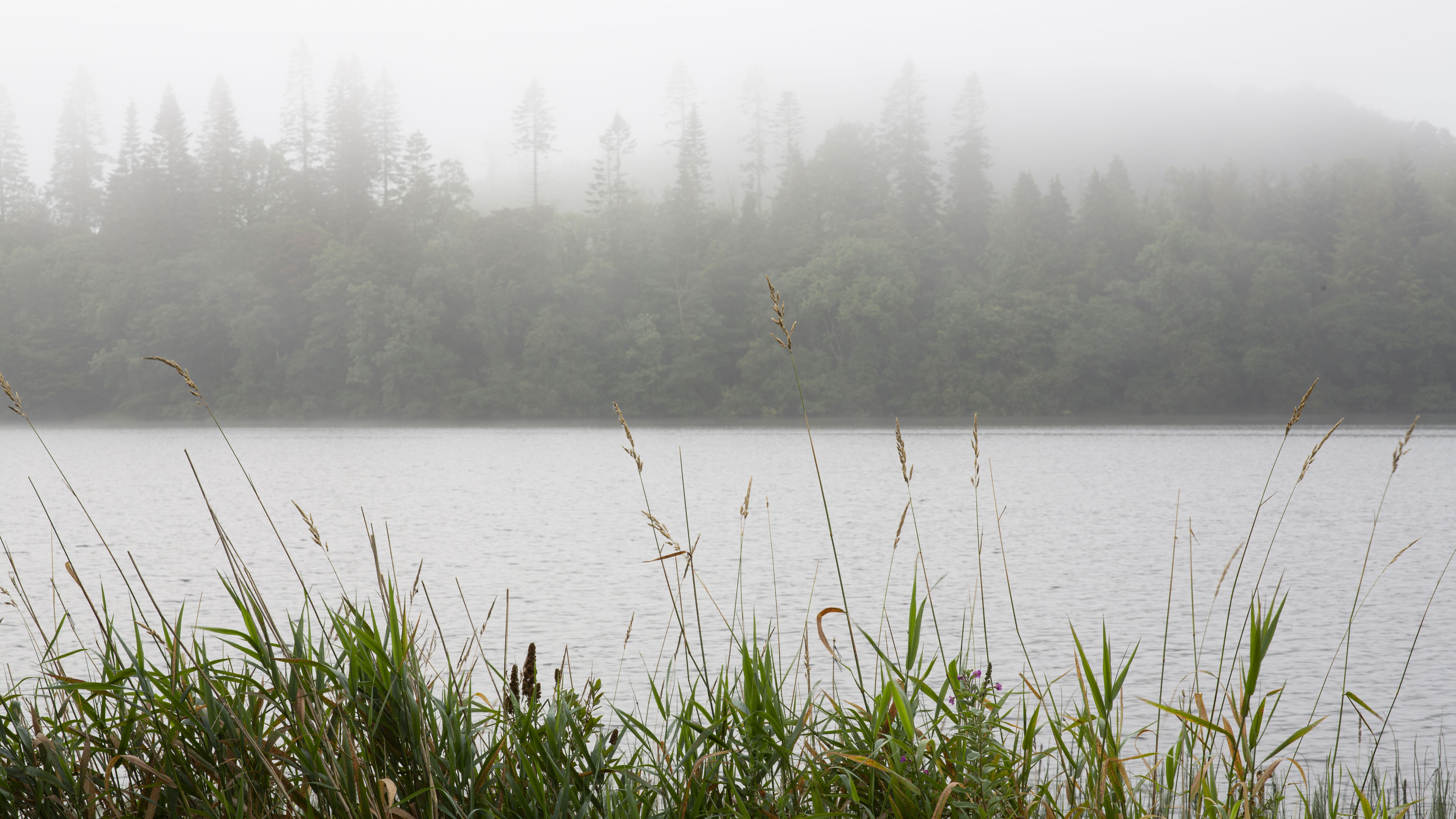 misty lake by matthew gammo misty lake by matthew gammo