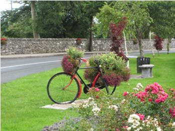 Castlecoote Tidy Towns