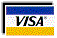 VISA Card Logo