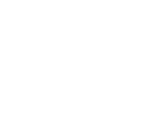 default-icon