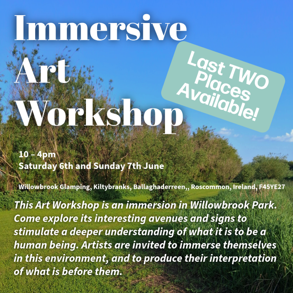 immersive-art immersive-art