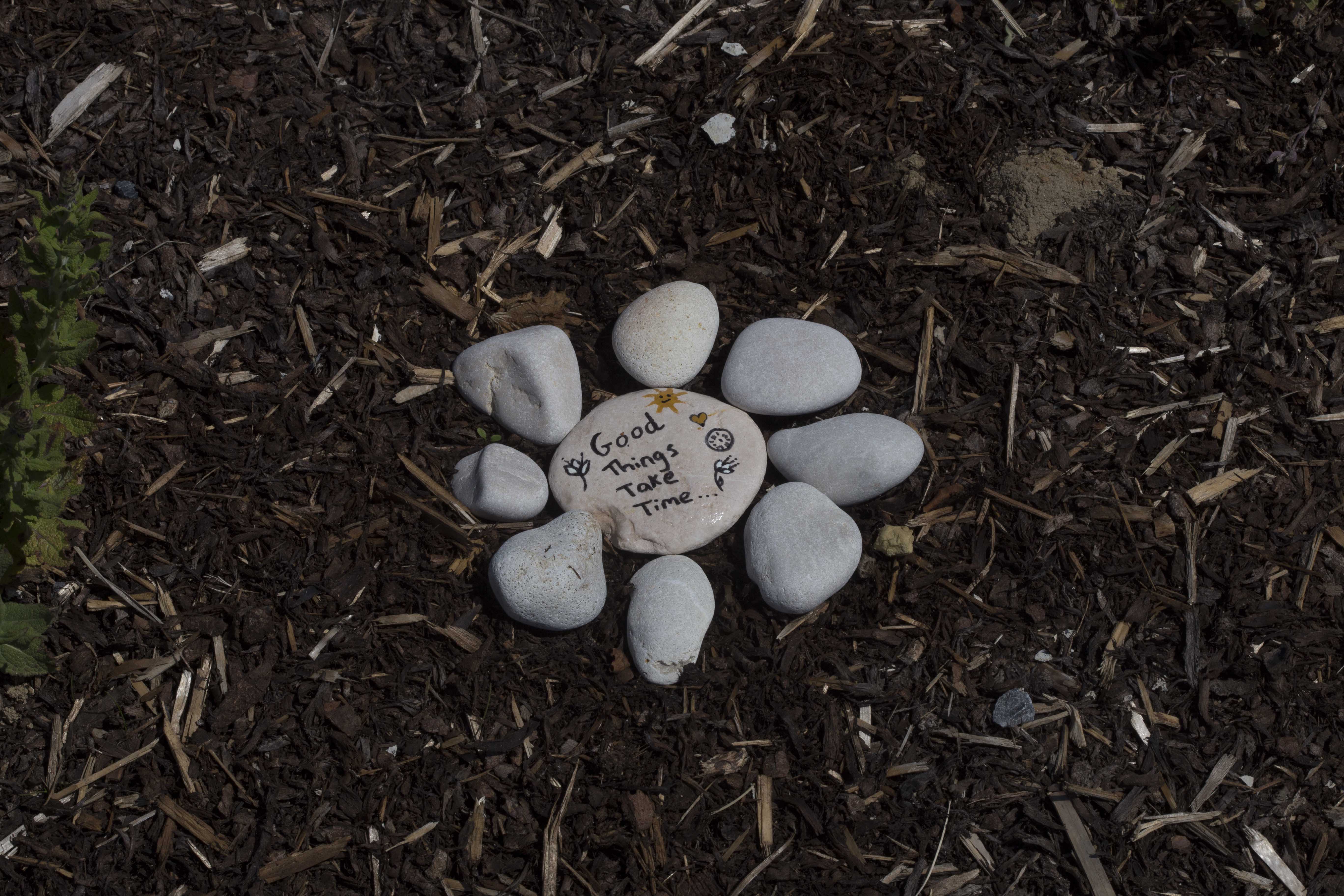 Rock Art