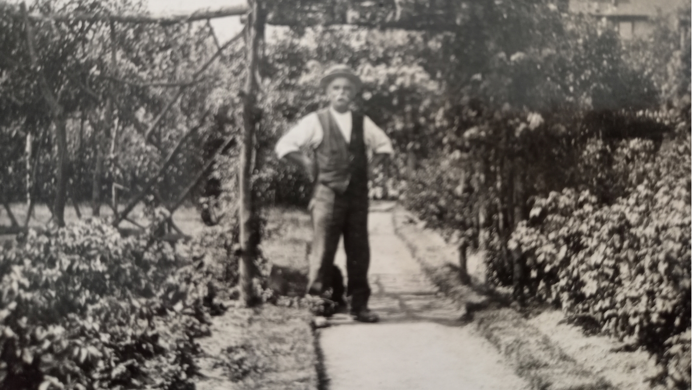 Garden-at-Frenchpark-House,-c.1930 Garden-at-Frenchpark-House,-c.1930
